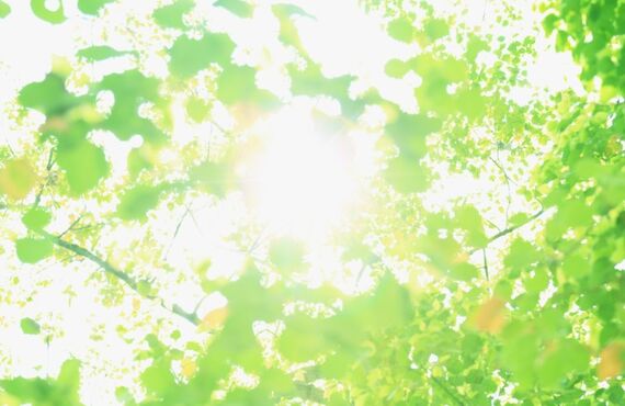 屋根は一番確認が難しいところです